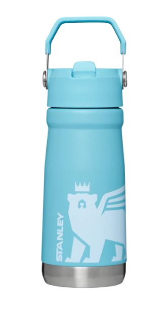 Stanley IceFlow Flip Straw Water Bottle, 17 oz. Charcoal