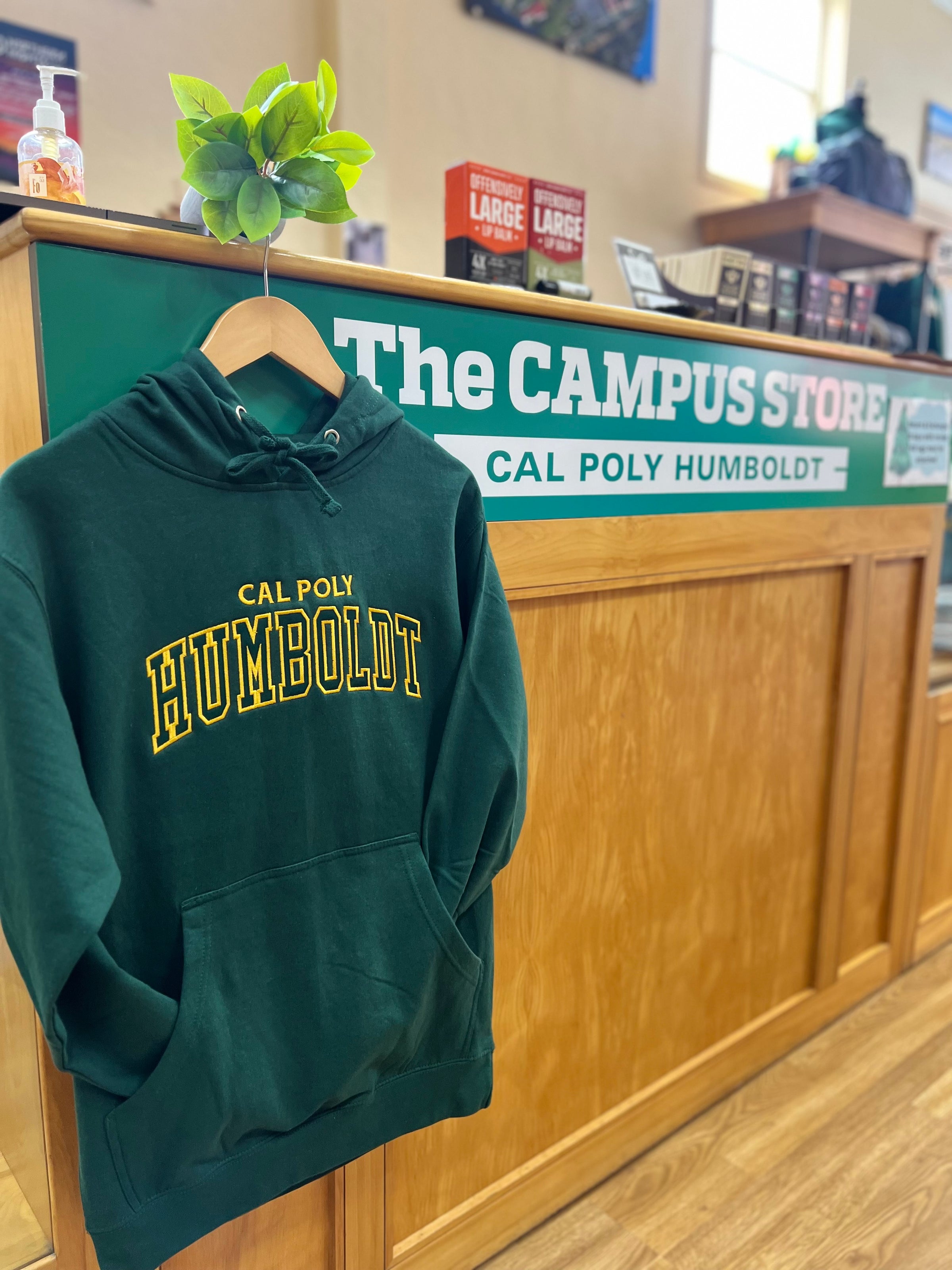 Online Shopping for Housewares, Baby Gear, Health & more. W Republic  558-201-FOR-03 California Polytechnic State University Pomona Broncos  Script Hoodie, Forest Green - Large